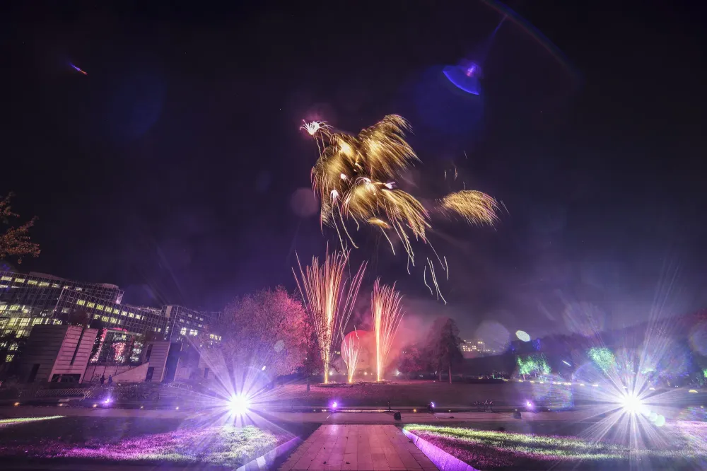 photo-feux-d-artifice